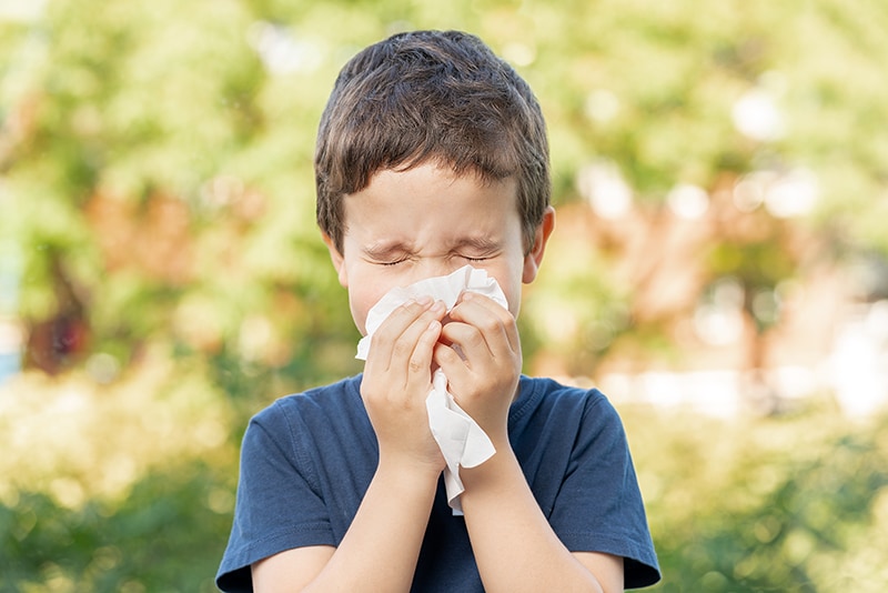 Tips for Allergy Relief